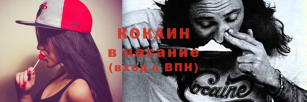 spice Каменка
