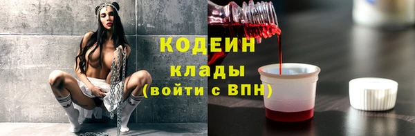 spice Каменка