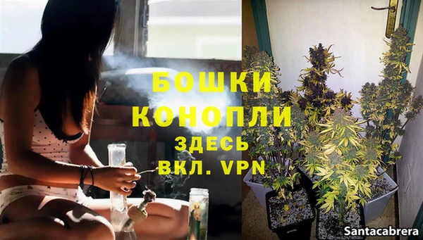 spice Каменка