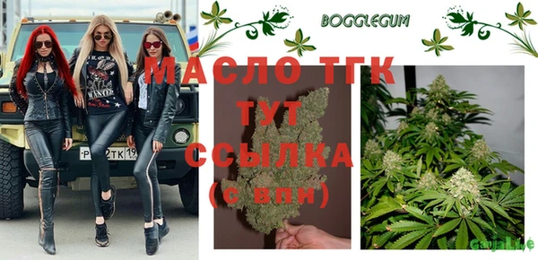 spice Каменка